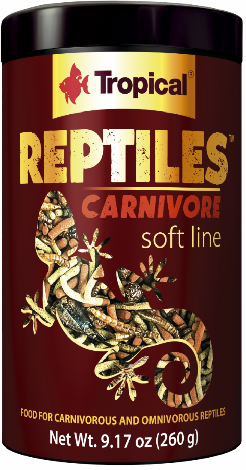 REPTILE CARNIVORE SOFT Fashion