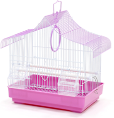 BIRD CAGE on Sale