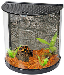 HALF MOON TERRARIUM Online