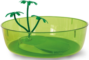 TURTLE BOWL NISIDA MINI Online Sale