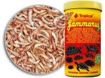 GAMMARUS Supply