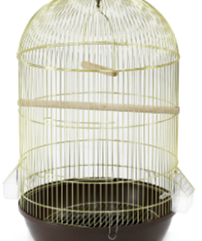 BIRD CAGE Online now