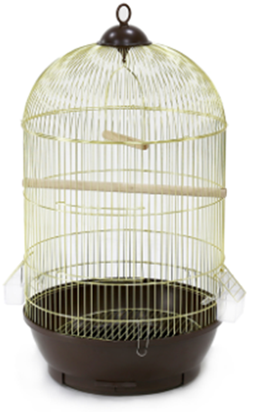 BIRD CAGE Online now