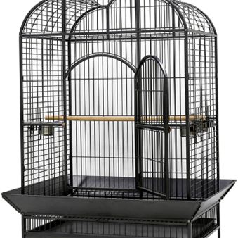 PARROT CAGE Online now