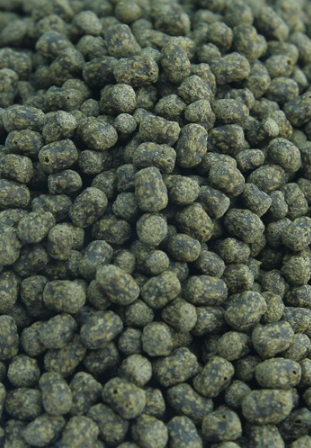 ADULT TURTLE PELLETS 240G Cheap