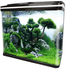 GLASS AQUARIUM & CABINET Hot on Sale